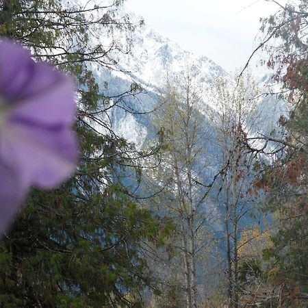 The Hitching Post Motel Pemberton Buitenkant foto